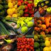 Fotos de Colombia Fruver Up
