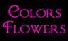Fotos de Colors Flowers