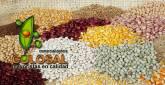 Fotos de Comercializadora Colosal