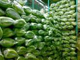 Fotos de Comercializadora De Platano De Colombia