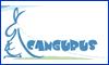 Comercializadora Nizar - Cangurus