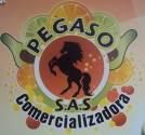 Fotos de Comercializadora Pegaso