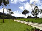 Fotos de Condominio Campestre Mirador Del Tambo