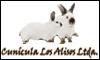 Fotos de Conejos Granja Los Alisos