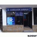 Fotos de Conexion Animal