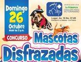 Fotos de Consultorio Medico Veterinario La Primavera