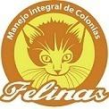 Fotos de Corporacion Manejo Integral De Colonias Felinas