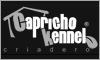 Fotos de Criadero Capricho Kennel