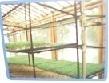 Fotos de Cubre Cultivos G. M. Sas Rionegro