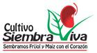 Fotos de Cultivo Siembra Viva - Frijol Y Maíz