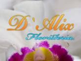 Fotos de D Alix Floristeria