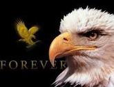 Fotos de Distribuidor Independiente Forever Living