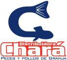 Fotos de Distribuidora Chara. Peces Y Pollos De La Granja