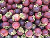 Fotos de Distribuidores De Fruta Wj