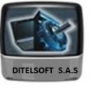 Fotos de Ditelsoft