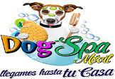 Fotos de Dog Spa Movil