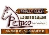 Fotos de Eco-Cabalgatas Petaco
