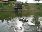 Fotos de Ecoparque Laderas De Villero
