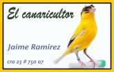 Fotos de El Canaricultor
