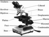 Fotos de El Microscopio