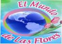 Fotos de El Mundo De Las Flores