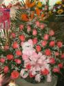 Fotos de El Palacio De Las Flores
