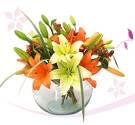 Fotos de Erim Flowers Specialist In International Deliveries