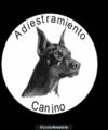 Fotos de Escuela De Adiestramiento El Encantador Canino