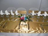 Eventos Camaleon