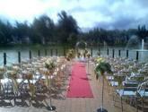Fotos de Eventos Dylan