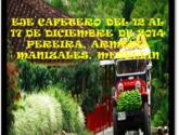 Fotos de Excursiones Sabana Tour