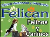 Fotos de Felican Clínica Veterinaria Y Peluquería Canina
