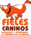 Fotos de Fieles Caninos
