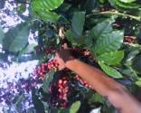 Fotos de Finca La Floridita