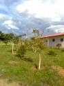 Fotos de Fincas Colombia