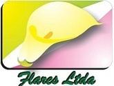 Fotos de Flares