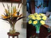 Fotos de Floreria Interactiva (Albeiro Palacio)