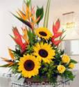 Fotos de Flores Para Colombia