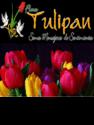 Fotos de Flores Tulipán