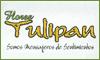 Fotos de Flores Tulipan