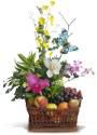 Fotos de Flores Y Detalles