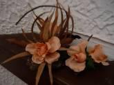Fotos de Flores Y Frutas De David