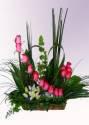 Fotos de Flores Y Motivos
