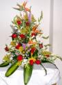 Fotos de Floristeria Alejandra