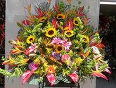 Fotos de Floristeria Colombia Digalo Con Flores
