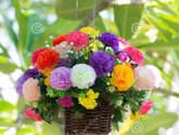 Fotos de Floristería El Diamante De Neiva