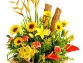 Fotos de Floristería Flores Y Canastos