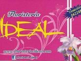 Fotos de Floristería Ideal