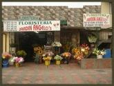 Fotos de Floristería Jardín Angelo´s