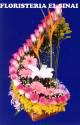 Fotos de Floristería La Orquidea H.d
